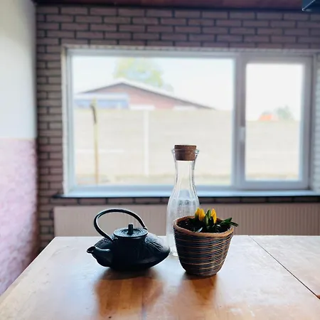 Scandinavian House Hotel- Holbol, *